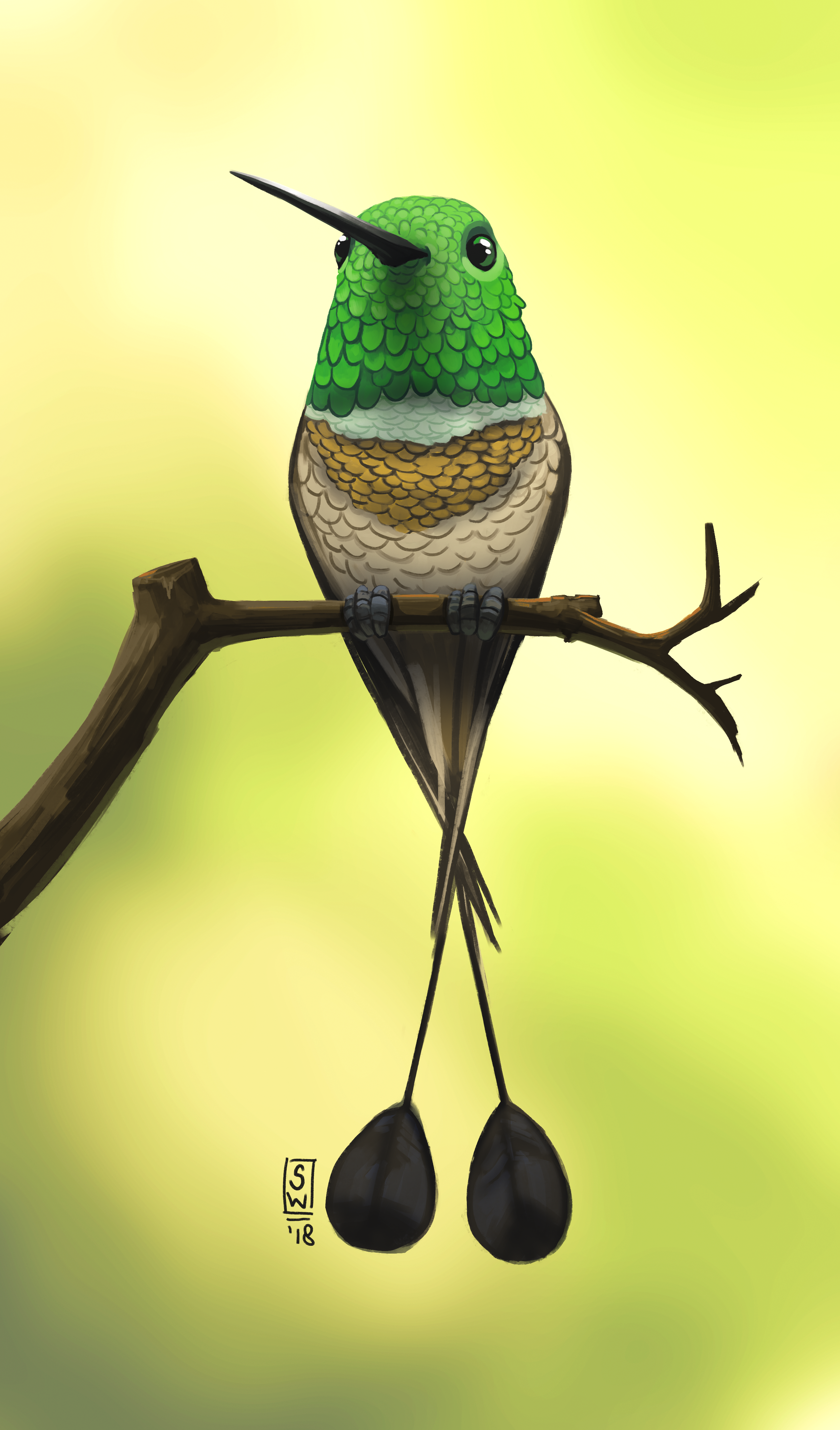 Racket-tailed Bird